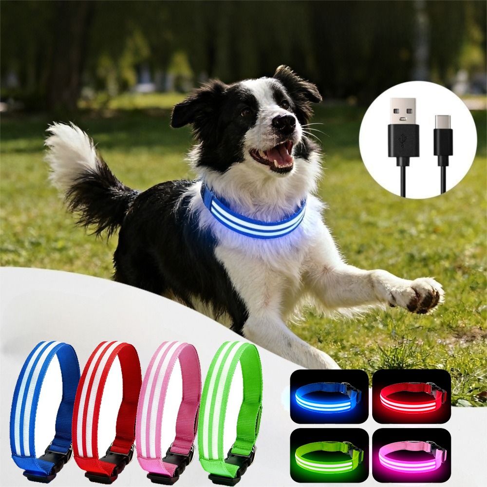 Tech Dog Accessories - Adjustable Light Up Dog Collar Flashing