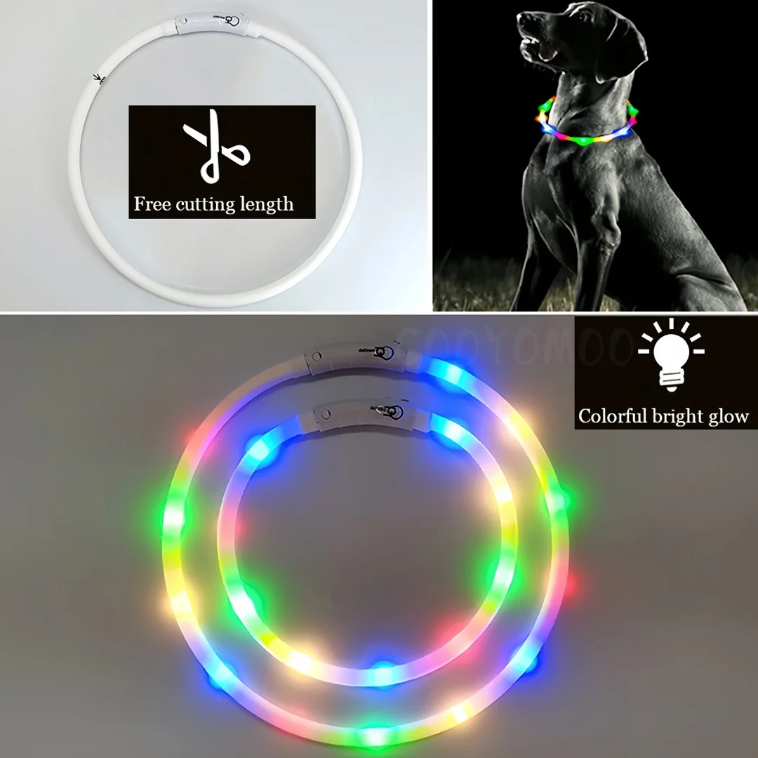 Tech Dog Accessories - New Led Luminous Dog Collar 4
