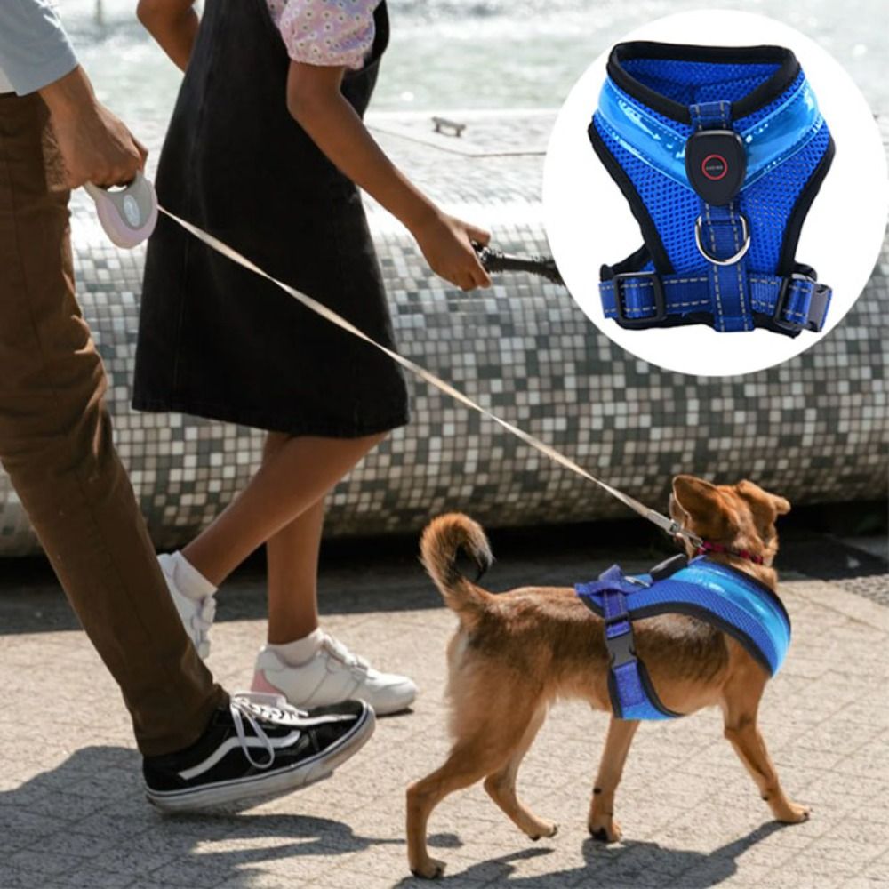 Practical Luminous Pet LED Har - Tech Dog Accessories avaliação e preço