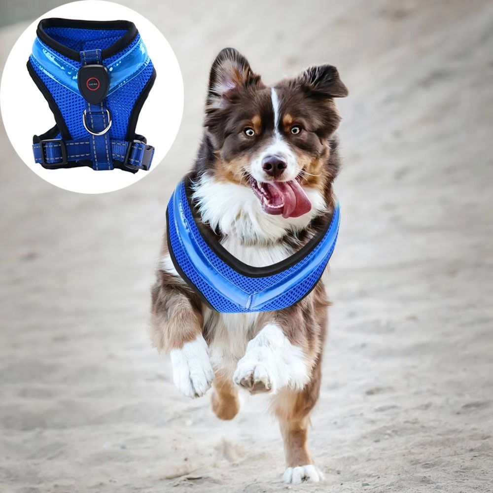Practical Luminous Pet LED Har - Tech Dog Accessories avaliação e preço