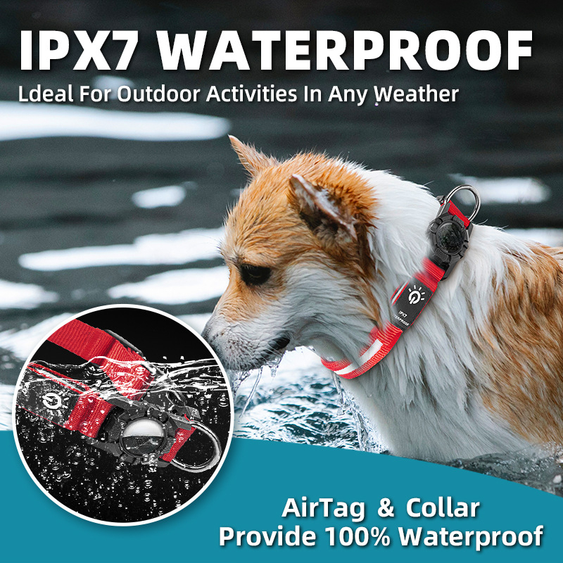 New Pet Collars WaterProof Led - Tech Dog Accessories avaliação e preço