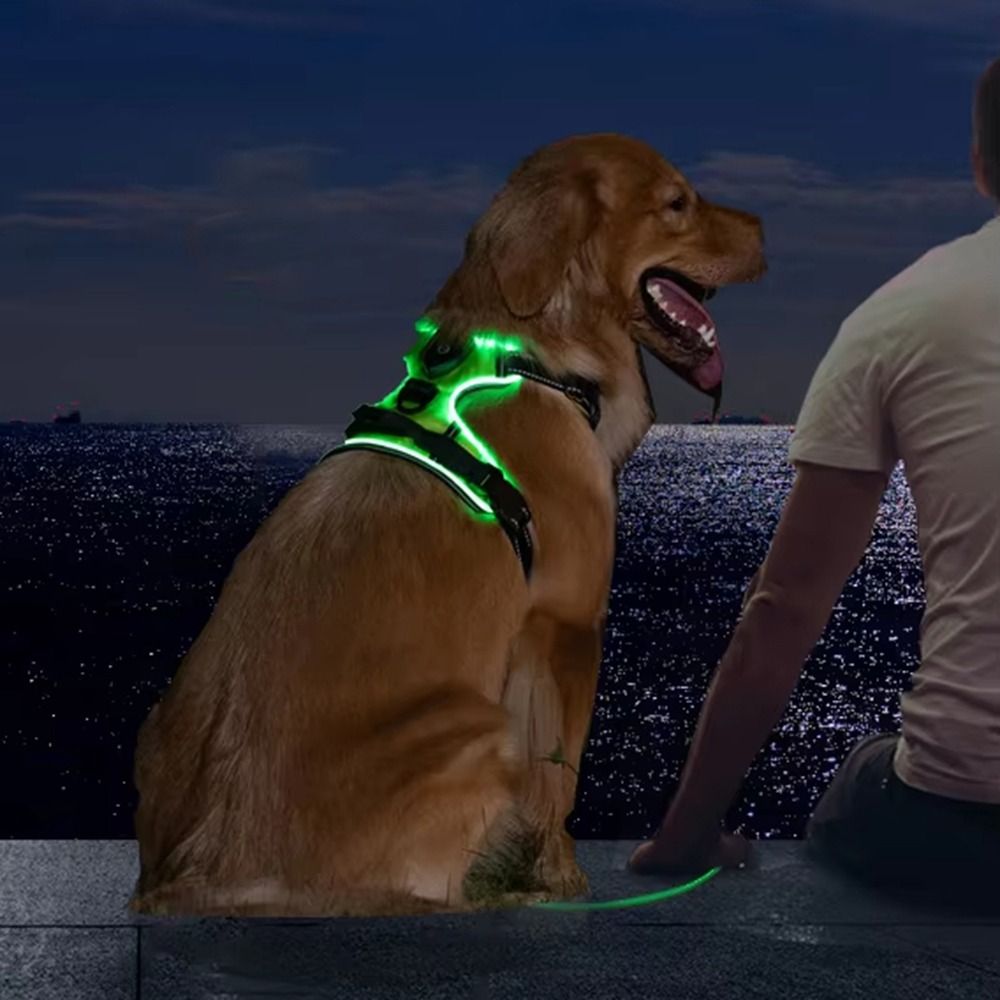 Light Up LED Dog Harness Recha - Tech Dog Accessories avaliação e preço