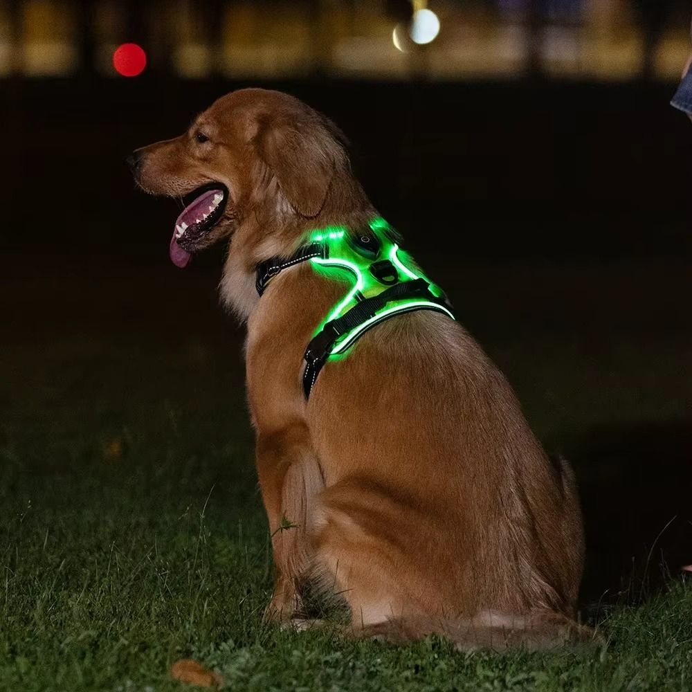 Light Up LED Dog Harness Recha - Tech Dog Accessories avaliação e preço