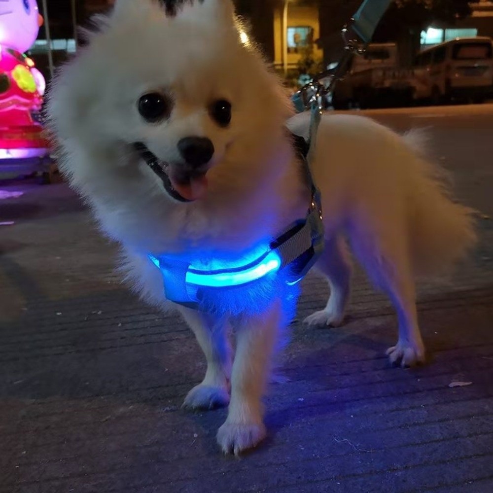 Breathable Light Up LED Dog Ha - Tech Dog Accessories avaliação e preço