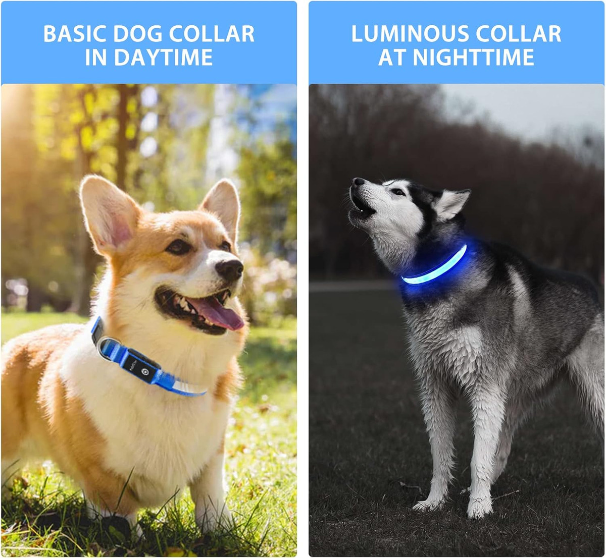 USB LED Dog Collar Lights - Ad - Tech Dog Accessories avaliação e preço