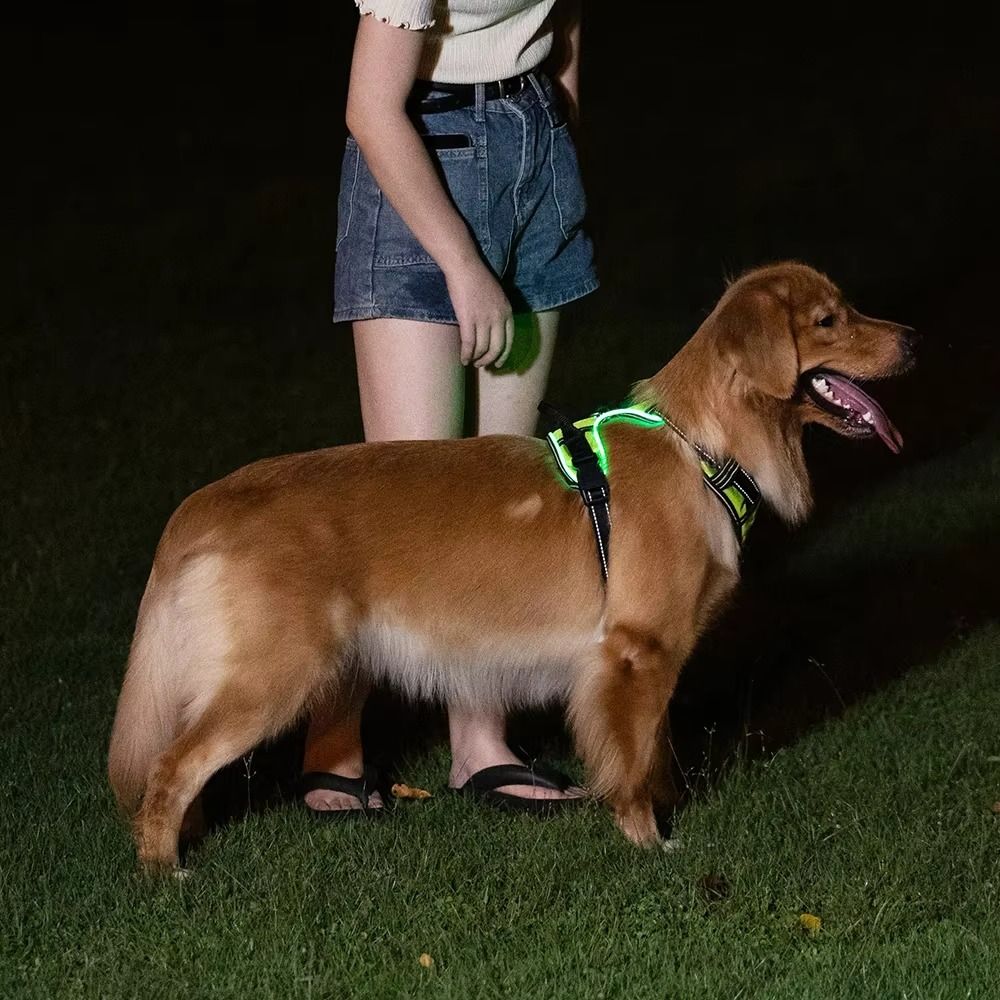 Durable Light Up LED Dog Harne - Tech Dog Accessories avaliação e preço