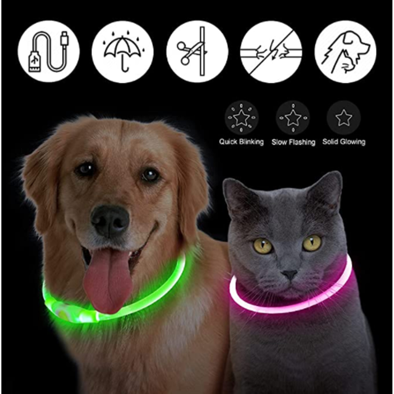 USB Rechargeable Luminous Coll - Tech Dog Accessories avaliação e preço