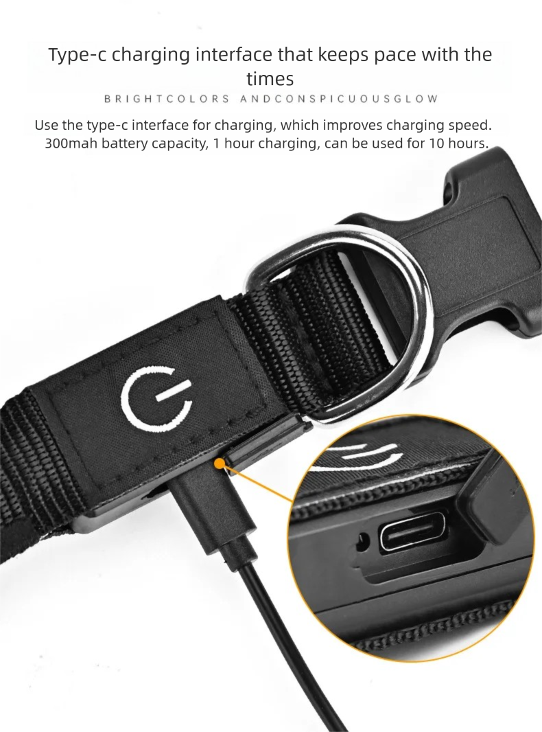 LED Dog Collar USB Rechargeabl - Tech Dog Accessories avaliação e preço