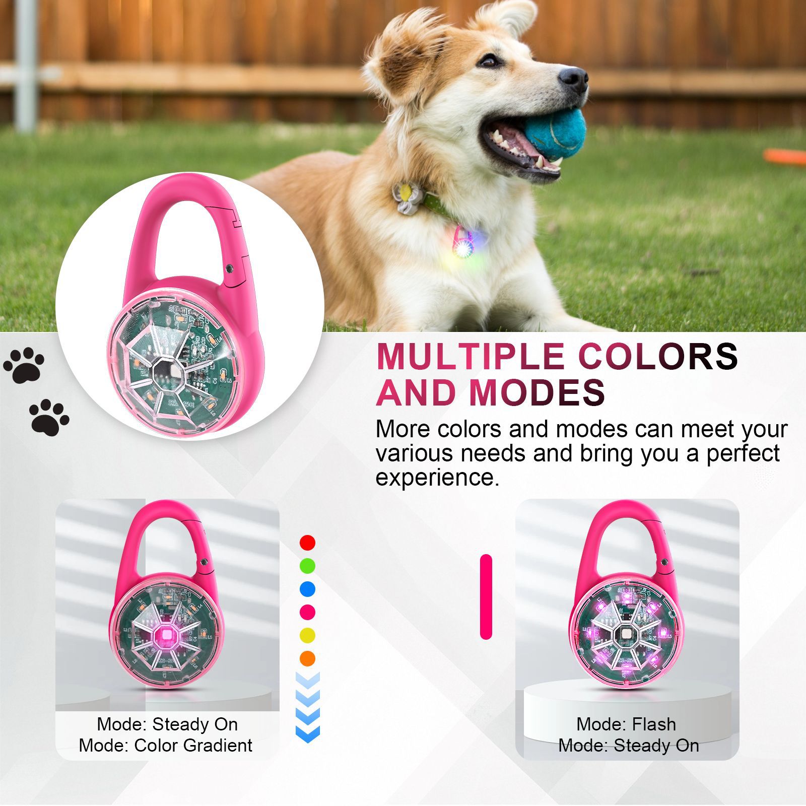 USB Rechargeable LED Pet Safet - Tech Dog Accessories avaliação e preço
