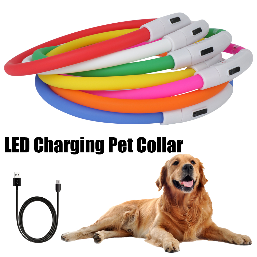 Dog Loss Prevention Led Usb Do - Tech Dog Accessories avaliação e preço