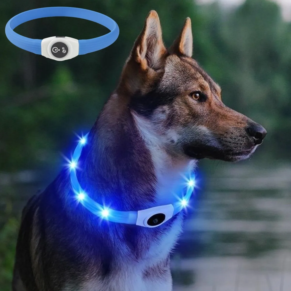 New Led Luminous Dog Collar PV - Tech Dog Accessories avaliação e preço