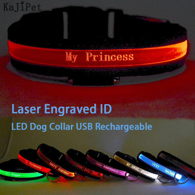 Engraved ID LED Dog Collar Lum - Tech Dog Accessories avaliação e preço