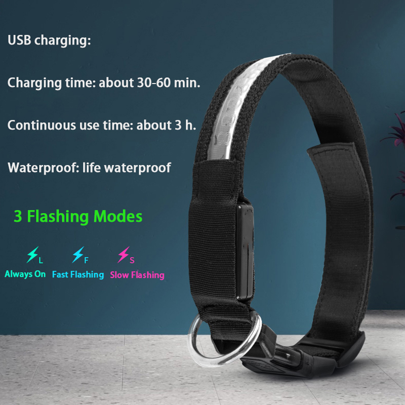 Engraved ID LED Dog Collar Lum - Tech Dog Accessories avaliação e preço