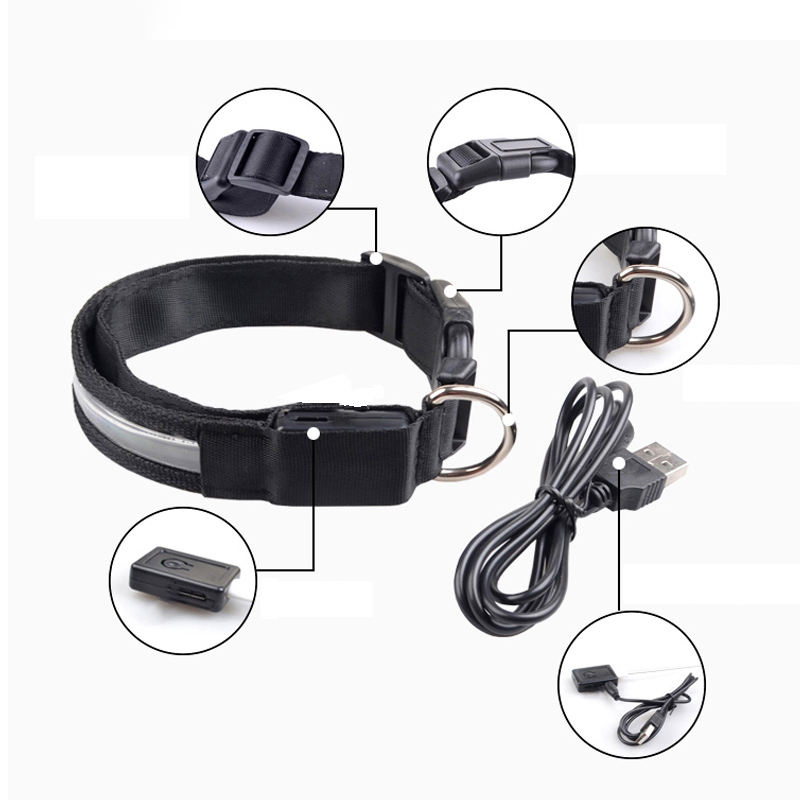 Engraved ID LED Dog Collar Lum - Tech Dog Accessories avaliação e preço