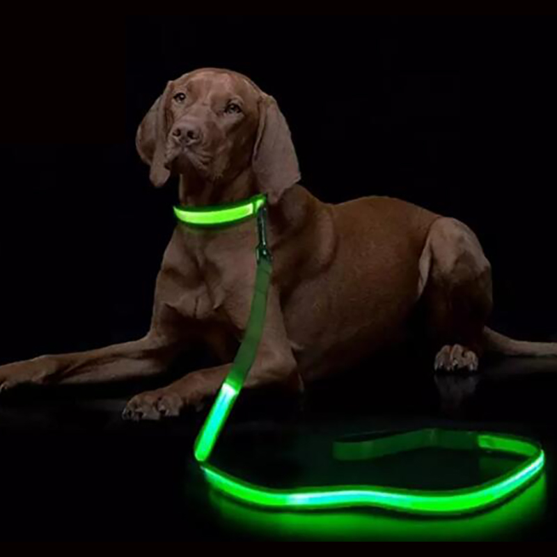 LED Light Up Dog Leash Luminou - Tech Dog Accessories avaliação e preço