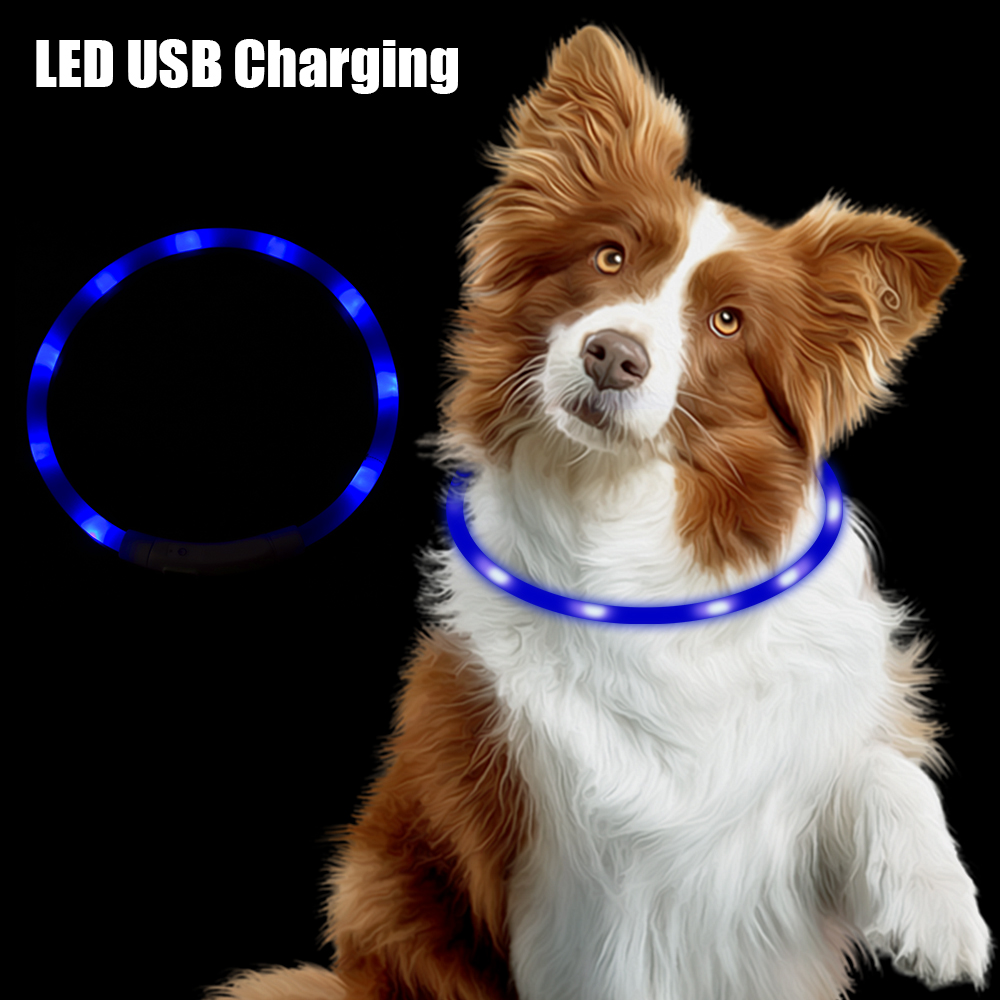 Night Safety Flashing Glow  Co - Tech Dog Accessories avaliação e preço