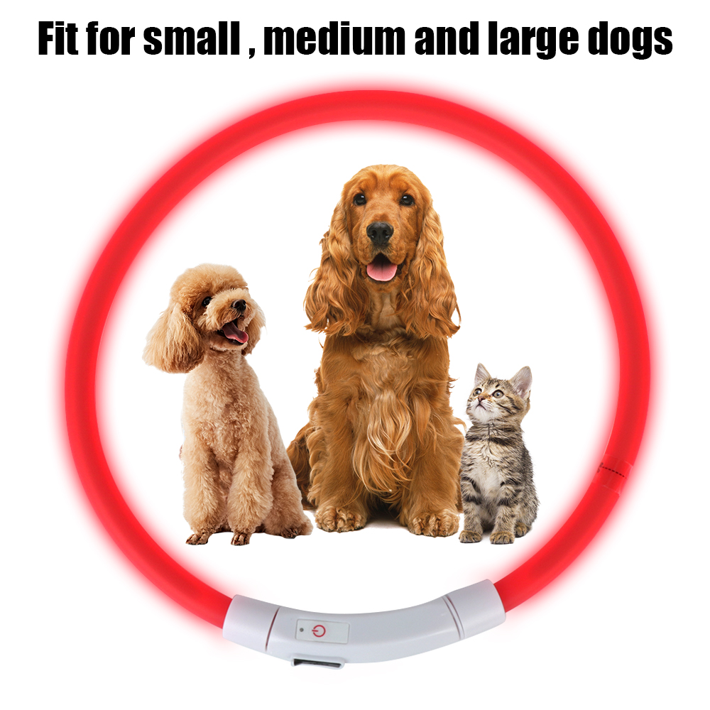 Night Safety Flashing Glow  Co - Tech Dog Accessories avaliação e preço