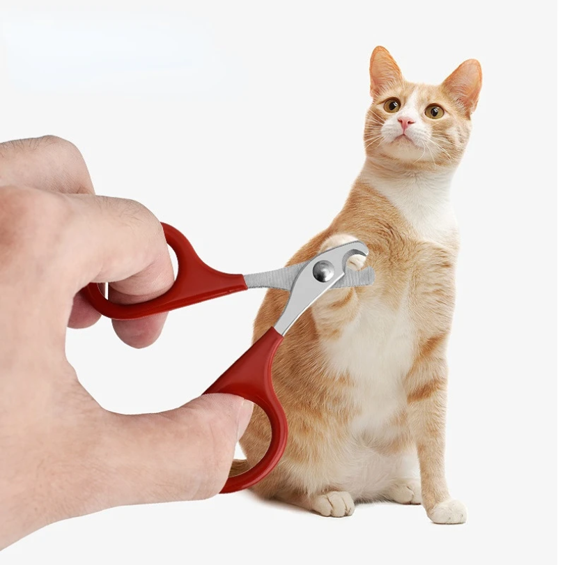 Professional Cat Nail Scissors - Tech Dog Accessories avaliação e preço