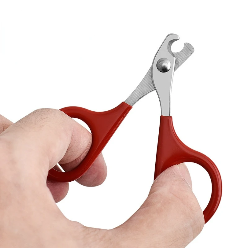 Professional Cat Nail Scissors - Tech Dog Accessories avaliação e preço